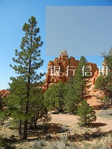 银行信用卡逾期发短信给别人 银行信用卡逾期发短信给别人
