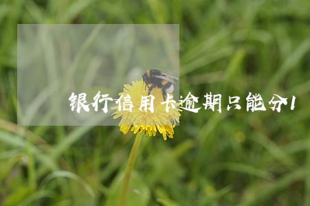 银行信用卡逾期只能分16期 银行信用卡逾期只能分16期
