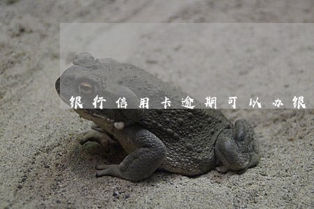 银行信用卡逾期可以办银行卡吗 银行信用卡逾期可以办银行卡吗