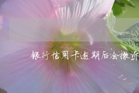 银行信用卡逾期后会撤诉吗 银行信用卡逾期后会撤诉吗