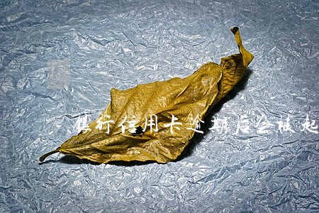 银行信用卡逾期后会被起诉吗 银行信用卡逾期后会被起诉吗