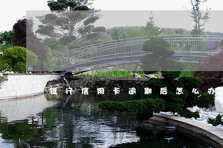 银行信用卡逾期后怎么办最好