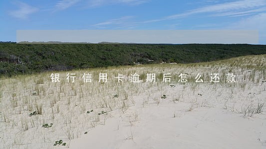 银行信用卡逾期后怎么还款 银行信用卡逾期后怎么还款