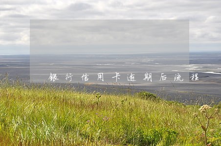 银行信用卡逾期后流程