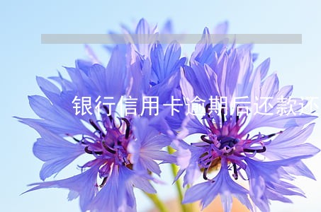 银行信用卡逾期后还款还可以吗 银行信用卡逾期后还款还可以吗