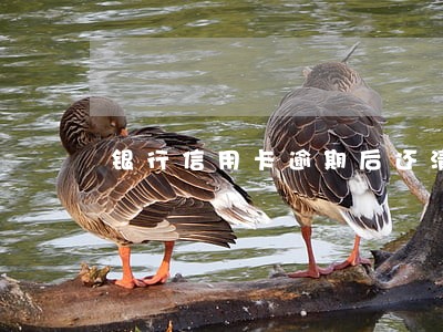 银行信用卡逾期后还清被降额 银行信用卡逾期后还清被降额