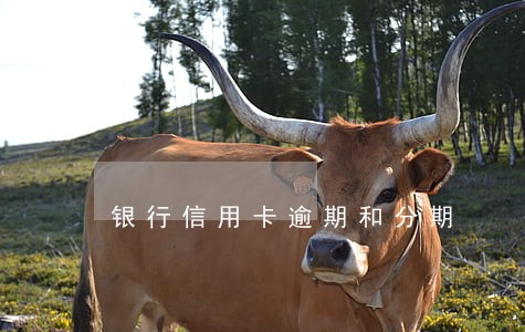 银行信用卡逾期和分期 银行信用卡逾期和分期