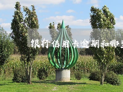 银行信用卡逾期和哪里协商更好