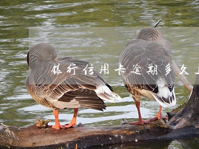 银行信用卡逾期多久上报征信