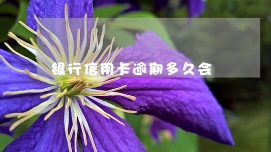 银行信用卡逾期多久会
