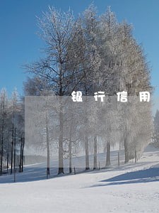 银行信用卡逾期多久会封卡 银行信用卡逾期多久会封卡