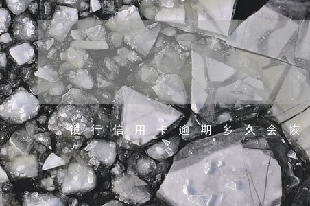 银行信用卡逾期多久会恢复征信 银行信用卡逾期多久会恢复征信
