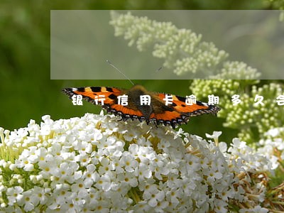 银行信用卡逾期多久会立案吗 银行信用卡逾期多久会立案吗