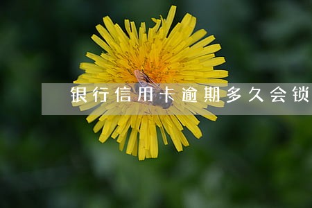 银行信用卡逾期多久会锁卡