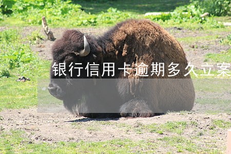 银行信用卡逾期多久立案 银行信用卡逾期多久立案