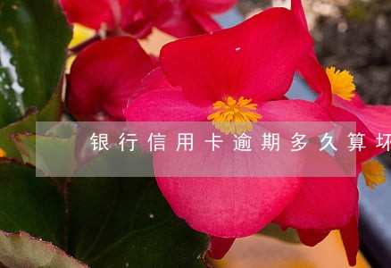 银行信用卡逾期多久算坏账 银行信用卡逾期多久算坏账