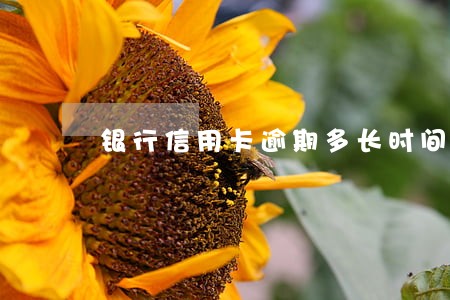 银行信用卡逾期多长时间