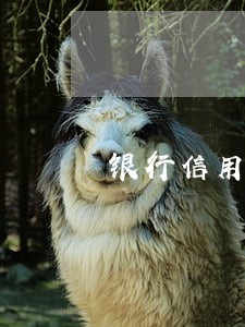 银行信用卡逾期失联通告 银行信用卡逾期失联通告