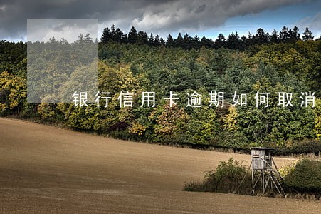 银行信用卡逾期如何取消 银行信用卡逾期如何取消