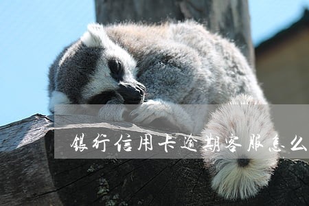 银行信用卡逾期客服怎么样 银行信用卡逾期客服怎么样