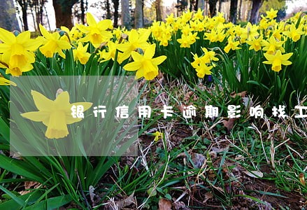 银行信用卡逾期影响找工作吗