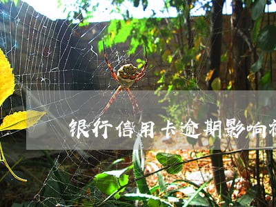 银行信用卡逾期影响社保吗