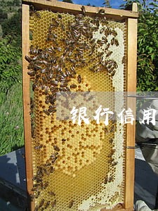 银行信用卡逾期征信多久取消