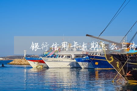 银行信用卡逾期怎么上传征信 银行信用卡逾期怎么上传征信