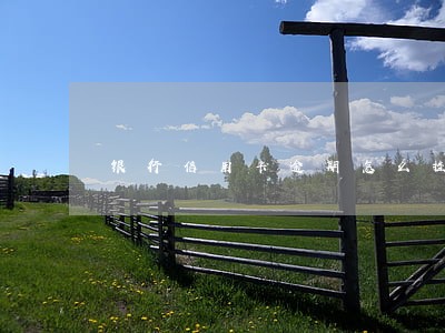 银行信用卡逾期怎么挂账 银行信用卡逾期怎么挂账