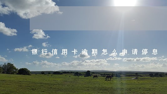 银行信用卡逾期怎么申请停息 银行信用卡逾期怎么申请停息