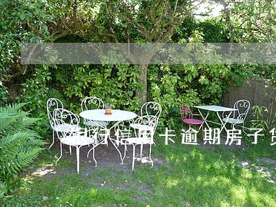 银行信用卡逾期房子贷不了款 银行信用卡逾期房子贷不了款