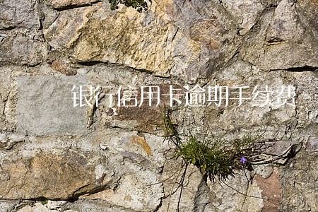银行信用卡逾期手续费