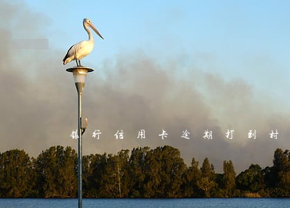 银行信用卡逾期打到村委合规吗 银行信用卡逾期打到村委合规吗