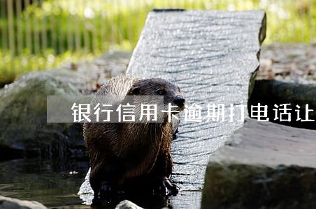 银行信用卡逾期打电话让调解 银行信用卡逾期打电话让调解