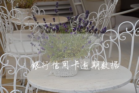 银行信用卡逾期数据 银行信用卡逾期数据
