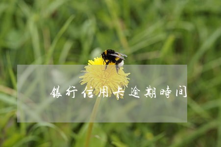 银行信用卡逾期时间