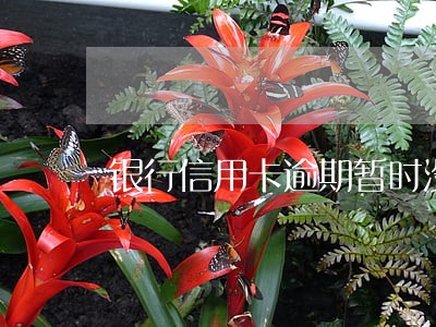 银行信用卡逾期暂时没钱还怎么解决 银行信用卡逾期暂时没钱还怎么解决
