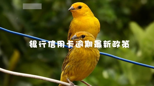 银行信用卡逾期最新政策