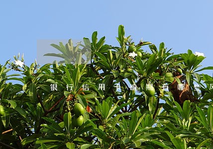 银行信用卡逾期有哪些风险