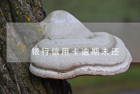 银行信用卡逾期未还 银行信用卡逾期未还