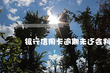 银行信用卡逾期未还会判刑吗