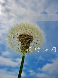 银行信用卡逾期未还怎么办 银行信用卡逾期未还怎么办