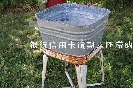 银行信用卡逾期未还滞纳金 银行信用卡逾期未还滞纳金