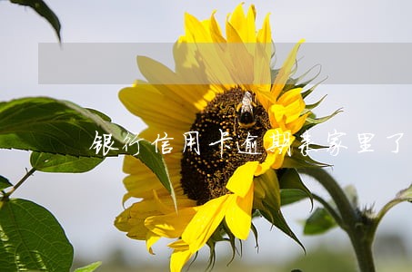 银行信用卡逾期来家里了怎么办