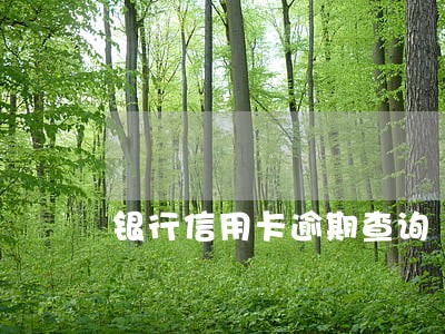 银行信用卡逾期查询 银行信用卡逾期查询