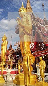 银行信用卡逾期查询结果
