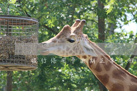银行信用卡逾期正常流程 银行信用卡逾期正常流程