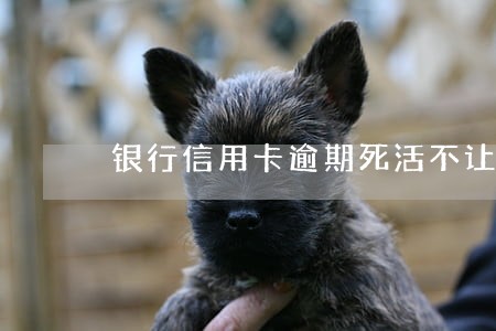 银行信用卡逾期死活不让分期 银行信用卡逾期死活不让分期