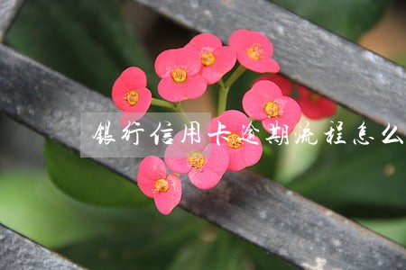 银行信用卡逾期流程怎么走 银行信用卡逾期流程怎么走