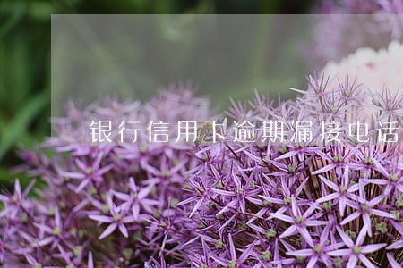 银行信用卡逾期漏接电话 银行信用卡逾期漏接电话
